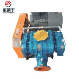 羅茨鼓風(fēng)機